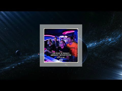 Code Black & Da Tweekaz & Adrenalize ft. Matthew Steeper - Heart Like Mine (Extended Mix)