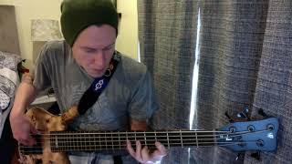 Do You Right- 311- Bass Cover