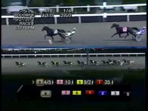 Breeders Crown Mare Trot 2012 -Tamla Celeber