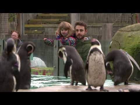 クイックカット。ロンドン動物園が一般公開を再開 (Quick Cut: London Zoo reopens its gates to the public)