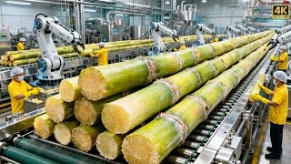 Dentro de uma fábrica de açúcar moderna: da cana-de-açúcar fresca ao açúcar cristalino puro.