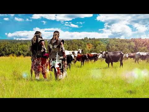 Inkabi Zezwe - Sayona (w/ Sjava, Big Zulu) on Spotify Charts