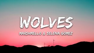 Selena Gomez, Marshmello - Wolves (Lyrics / Lyric Video)