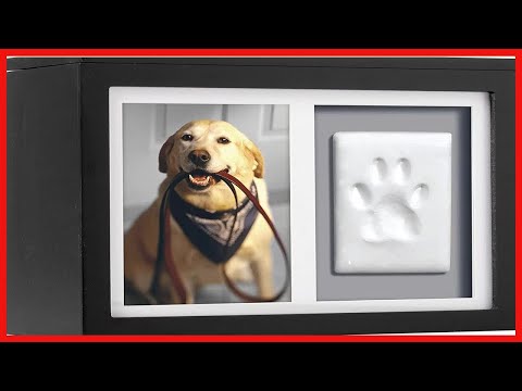 Pearhead Pet DIY Pawprints Memorial Box Kit for Dogs or Cats