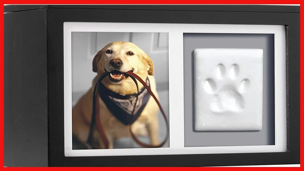 Pearhead Pet DIY Pawprints Memorial Box Kit for Dogs or Cats