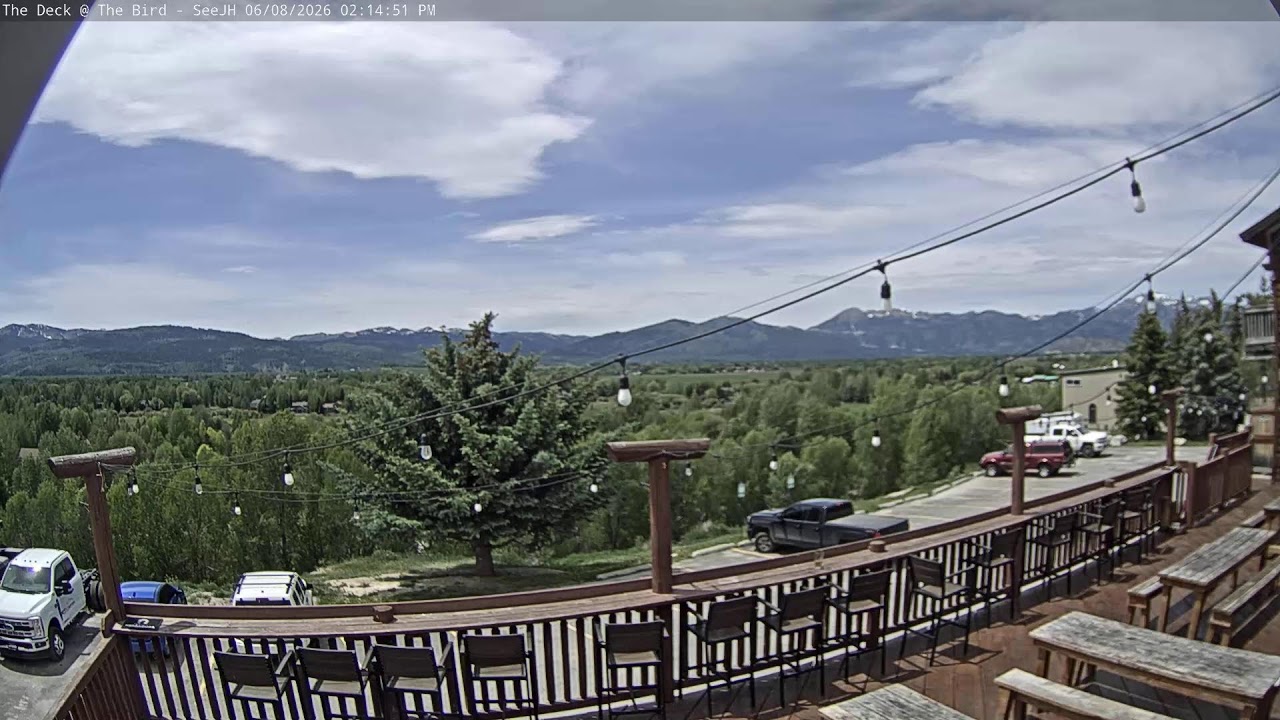 Live webcam view of La terraza de The Bird Roadhouse
