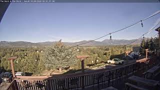 The Deck @ The Bird - SeeJH.com live webcam