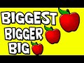 Smallest To BIGGEST The Sizes For Kids Big Bigger Biggest Small Smaller Smallest