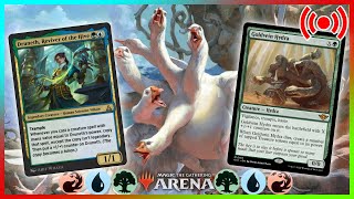 DRUNETH/JACKAL - Creatures so nice we summon them twice | 09/24/25 | MTG Arena Standard Bo1 TEMUR