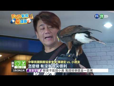 老鷹當特別來賓 夏令營練膽量