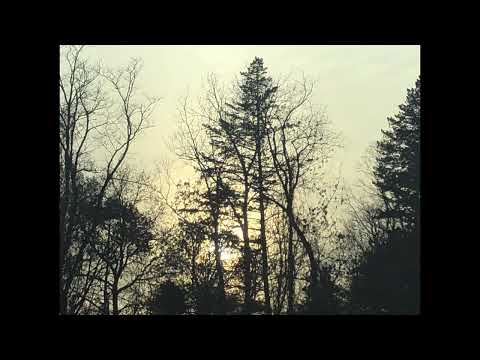 Figure It All Out (EP)