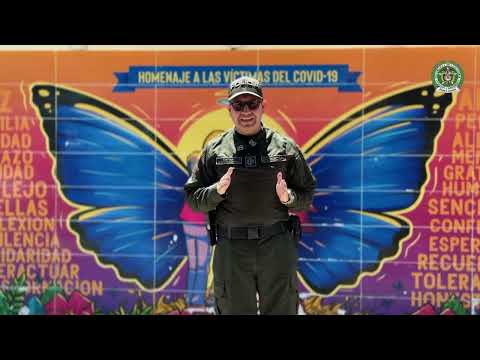 Golpe al tráfico de armas en Piamonte, Cauca