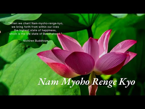 Daimoku 10 Minutes, Find Inner Peace with  Nam-myoho-renge-kyo Chant