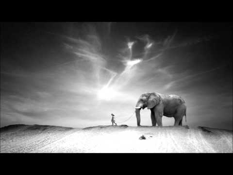 Walking With Elephants