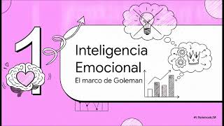 IPE II B2
