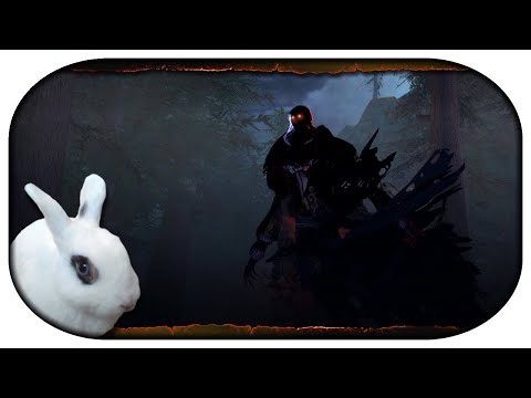 NEVERWINTER: Paladin-LP 🐇 201 - Der Nachtschrecken