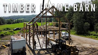 Authentic Timber Frame Barn Raising