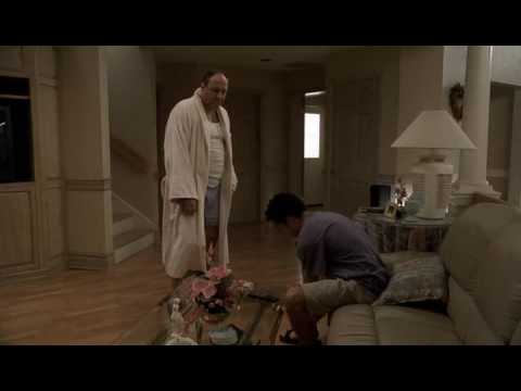 Tony Soprano and Meadow's boyfriend