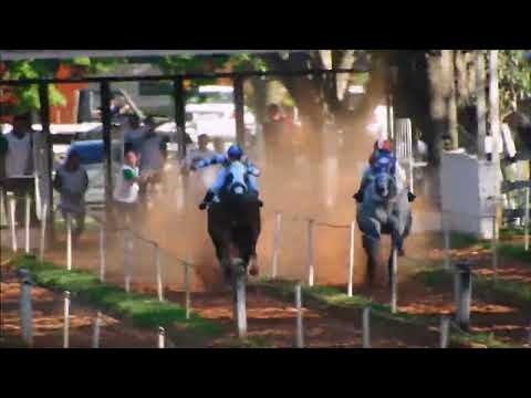 SILVESTRE vs Troya - Hipdromo Don Leonardo Koe Pyta - 15/09/2023