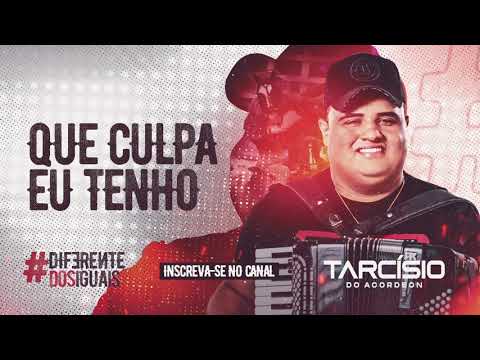 QUE CULPA EU TENHO - Tarcísio do Acordeon - CD Diferente dos Iguais 2021
