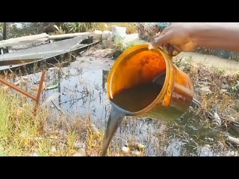 Shell potrebbe rispondere di disastro ambientale in Nigeria