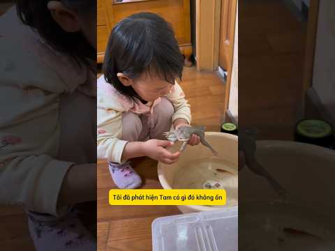 Chuyện là bé gái có một em pet họ ếch #momlife #haihuoc #mebimsua #funny #nuoicon #embe #mebau