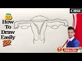How to draw Female reproductive system step by step for class 12th.
