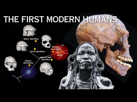 New Fossil Discovery in Africa Changes Early Human History