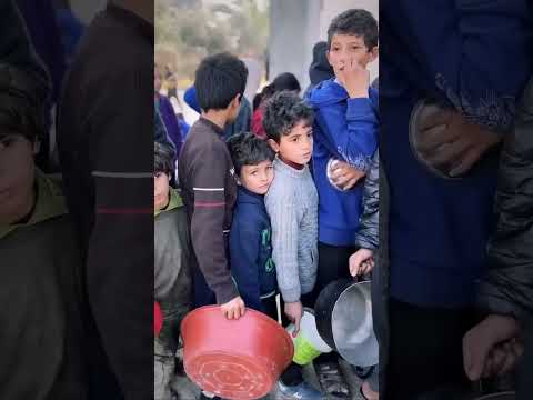 Maher Zain - Free Palestine (In My Heart)