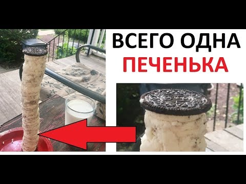 Лютые приколы. ГИГАНТСКАЯ ПЕЧЕНЬКААаааа !!!1