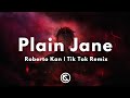 🎵 Plain Jane - Roberto Kan Tiktok Remix ( Copyright Free Remix )