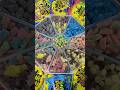 Sour Patch Kids Platter Shorts