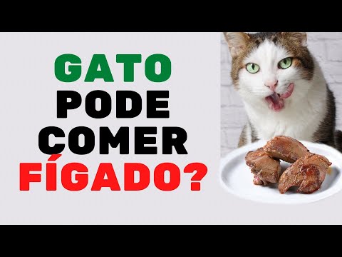 , title : 'FAZ BEM OU FAZ MAL OFERECER FÍGADO PARA O SEU GATO? /Vida de gato'