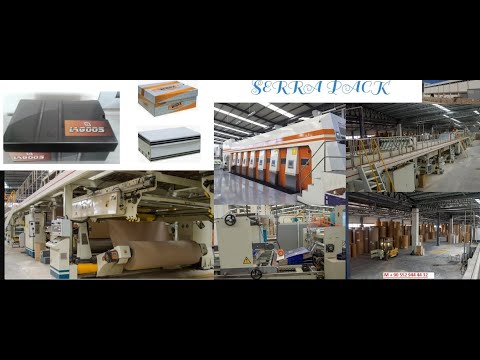 Oluklu Mukavva Koli Kutu Üretimi Koli Fabrikası  Factory pizza box