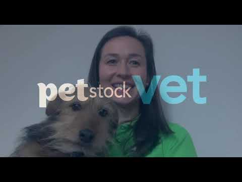 Recrutamento PETstock VET - Apoio à realocação