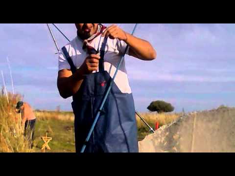 Pesca en onagoity