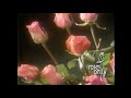 Roses Only Commercial 1997 VHS Rip