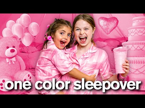 EVERYTHING in ONE COLOR for 24 HOURS (very funny!)