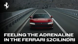 Ferrari 12Cilindri | Turning up the adrenaline in Croatia