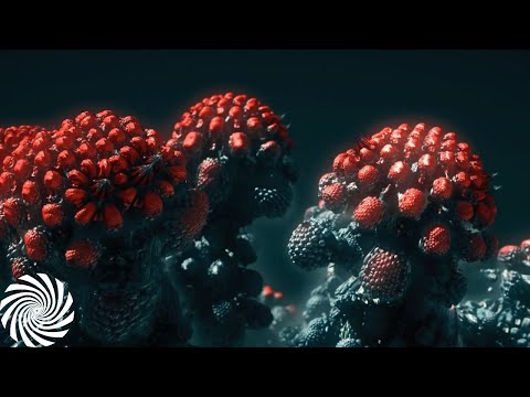 Koxbox - Searching For Psychoactive Herbs [Psychedelic Visuals]