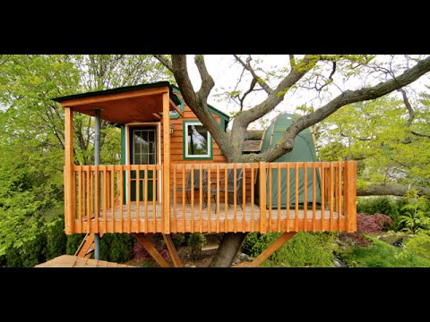 Tiny Tree Houses for Adults Don't Miss