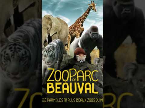 Top 5 des plus beaux zoo du monde
