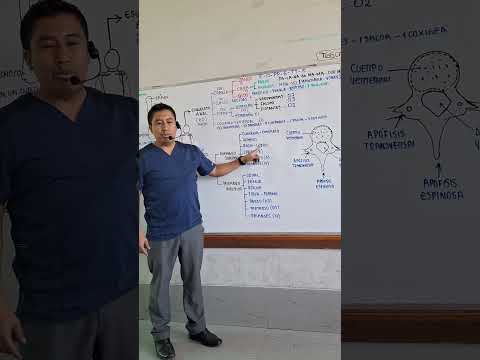 RECORD MUNDIAL! 206 huesos en menos de un minuto