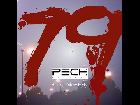 PECH Projekt - Człowiek jest rzeczownikiem, którym rządzą przypadki