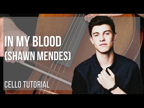 How to play In My Blood by Shawn Mendes on Cello (Tutorial)