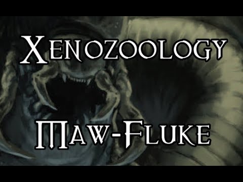 Xenozoology: Maw-Fluke - 40K Theories