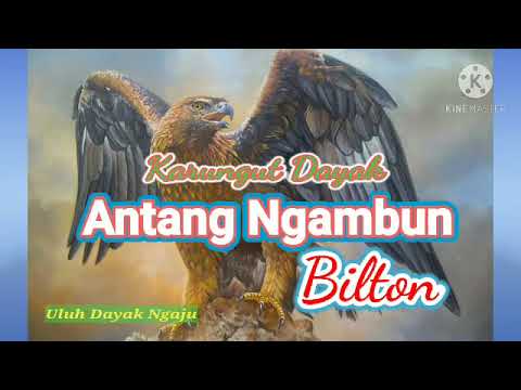 Karungut Dayak KalTeng "Antang Ngambun"  Cipt/Voc.Bilton