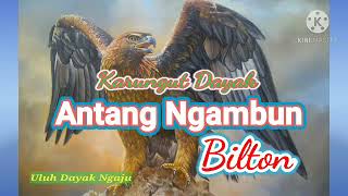 Download lagu Karungut Dayak KalTeng 'Antang Ngambun'  Cipt/Voc.Bilton mp3