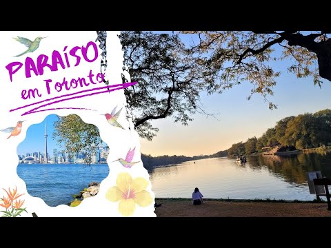 Descobrindo o Paraíso As Ilhas de Toronto!