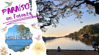 Descobrindo o Paraíso As Ilhas de Toronto!
